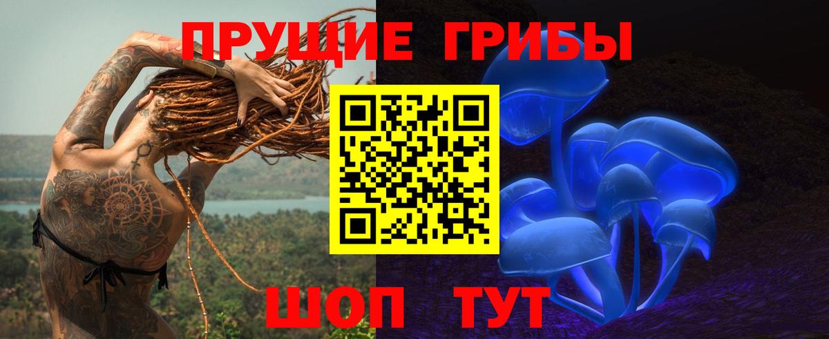 Осинники  Псилоцибиновые грибы MAGIC MUSHROOMS  Галлюциногенные грибы Psilocybine cubensis  Вход с VPN 
